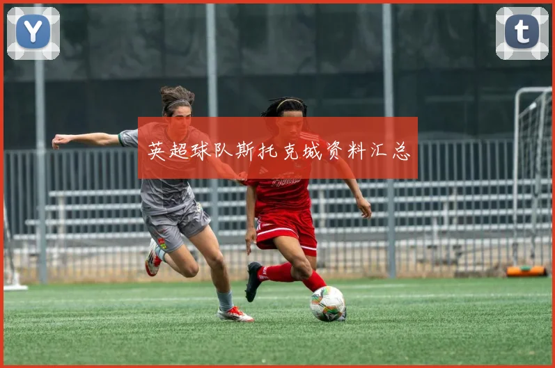 英超球队斯托克城资料汇总