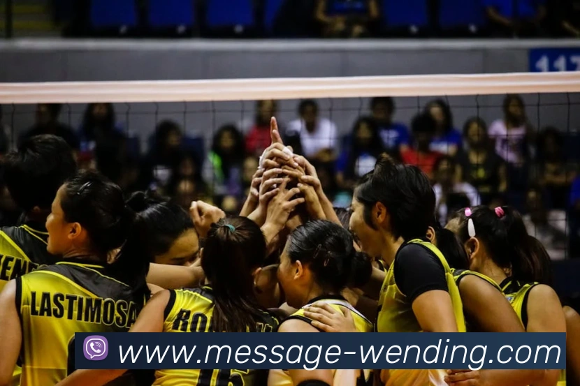 App Interface Preview