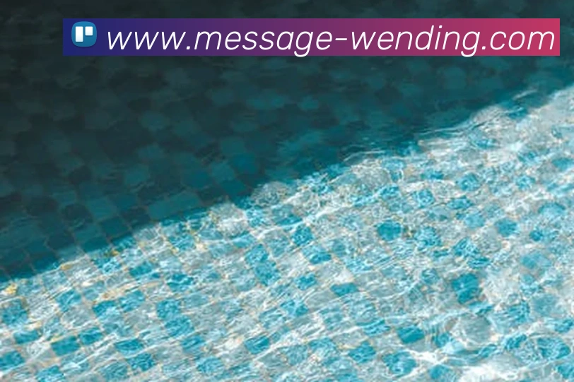 问鼎娱乐appAPP 封面图